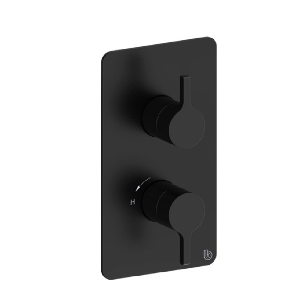 Cut out image of the Britton Hoxton 2.0 Matt Black 2 Outlet 2 Handle Concealed Shower Valve with Diverter